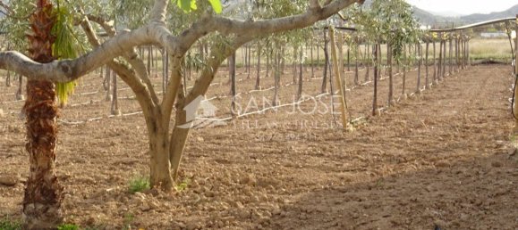 1 Schlafzimmer Haus in Aspe, Spain, Nr. 91909 22