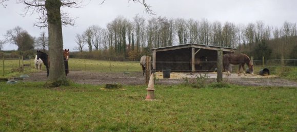 6-salle Châteaux à Saint-Martin-Choquel, France No. 84201 4