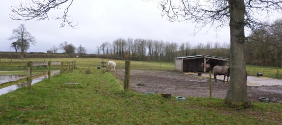 6-salle Châteaux à Saint-Martin-Choquel, France No. 84201 20
