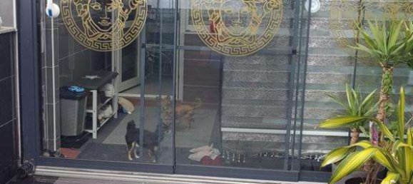 3 bedrooms Apartment in Bonn, Germany No. 13671 23