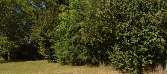 Terreno en Saarpfalz, Germany No. 300295 3