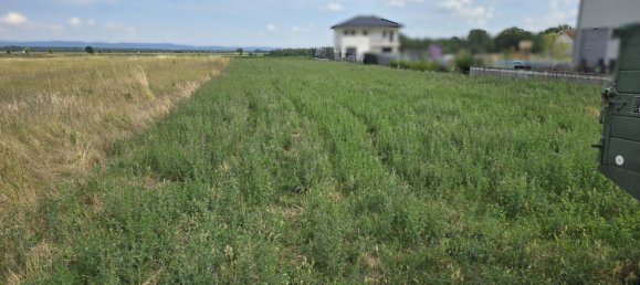 Terrain à Weikendorf, Austria No. 130037 2