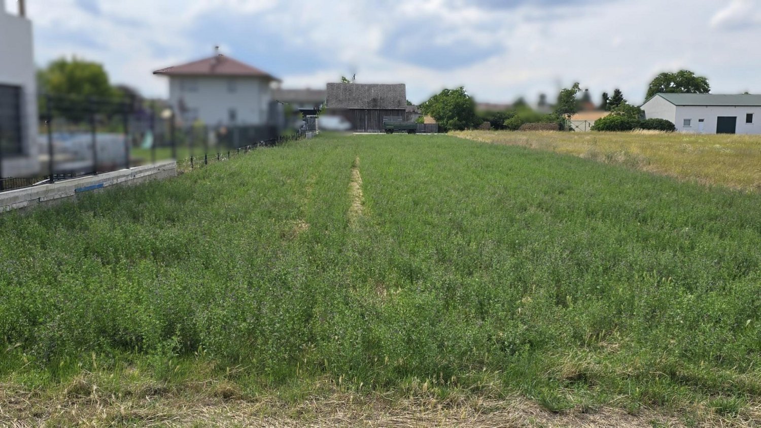Terrain à Weikendorf, Austria No. 130037