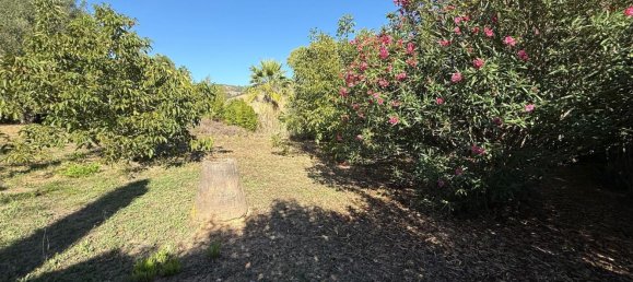 Villa T4 em Civitavecchia, Italy N.º 313725 23