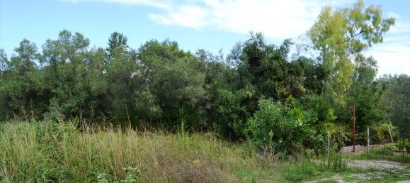 8100m² Hotel in Chalkidiki, Greece No. 6942 2