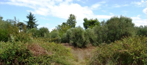 8100m² Hotel in Chalkidiki, Greece No. 6942 4