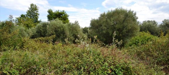 8100m² Hotel in Chalkidiki, Greece No. 6942 6