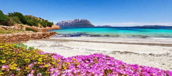 Apartamento de 3 divisões em Olbia, Italy N.º 231762 37