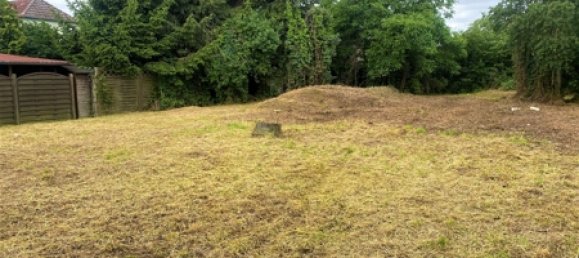 Terrain à Dahme-Spreewald, Germany No. 43925 3