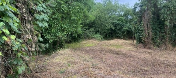 Terrain à Dahme-Spreewald, Germany No. 43925 4