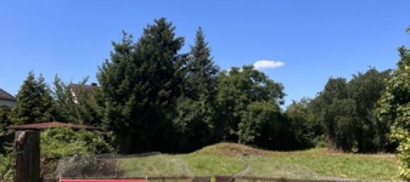 Terrain à Dahme-Spreewald, Germany No. 43925 2