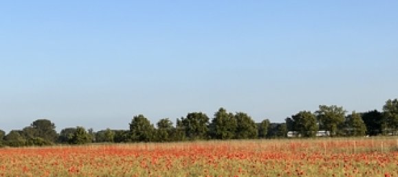 Terrain à Dahme-Spreewald, Germany No. 43925 12