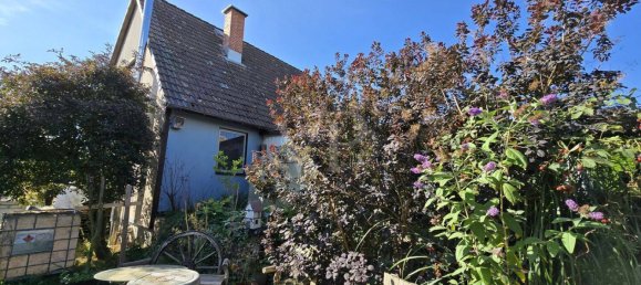 Casa de 5 habitaciónes en Mansfeld-Sudharz, Germany No. 325603 17