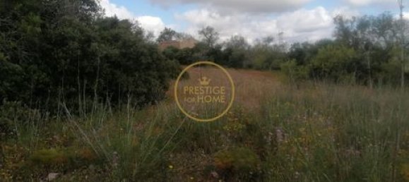 Grundstück in Loule, Portugal 50m², Nr. 194374 6