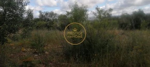 Grundstück in Loule, Portugal 50m², Nr. 194374 7