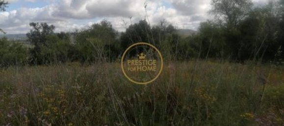 Grundstück in Loule, Portugal 50m², Nr. 194374 5