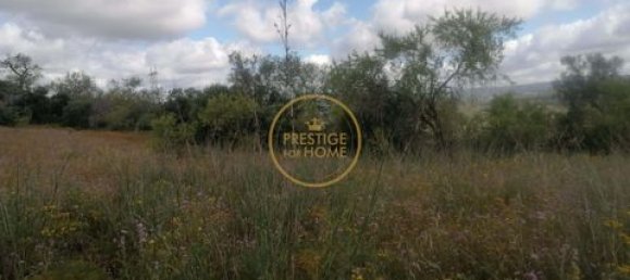 Grundstück in Loule, Portugal 50m², Nr. 194374 3