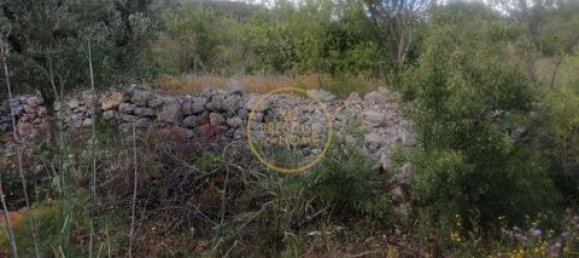 Grundstück in Loule, Portugal 50m², Nr. 194374 10