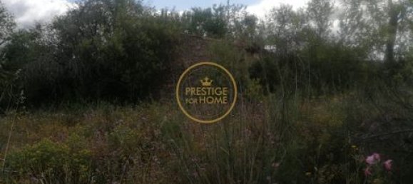 Grundstück in Loule, Portugal 50m², Nr. 194374 11