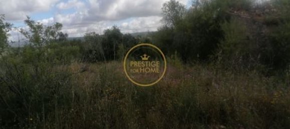 Grundstück in Loule, Portugal 50m², Nr. 194374 4