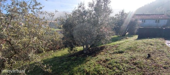 2 Schlafzimmer Haus in Vouzela, Portugal, Nr. 166857 6