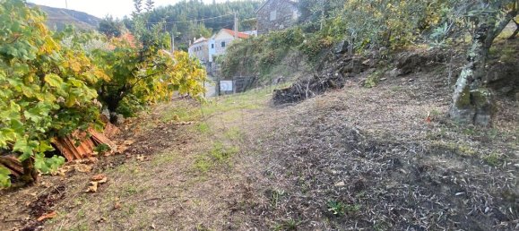 2 Schlafzimmer Haus in Vouzela, Portugal, Nr. 166857 5