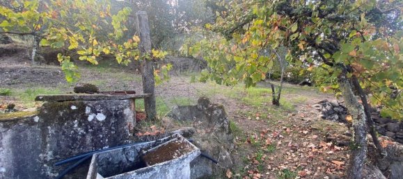 2 Schlafzimmer Haus in Vouzela, Portugal, Nr. 166857 21
