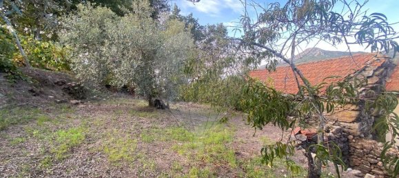 2 Schlafzimmer Haus in Vouzela, Portugal, Nr. 166857 19