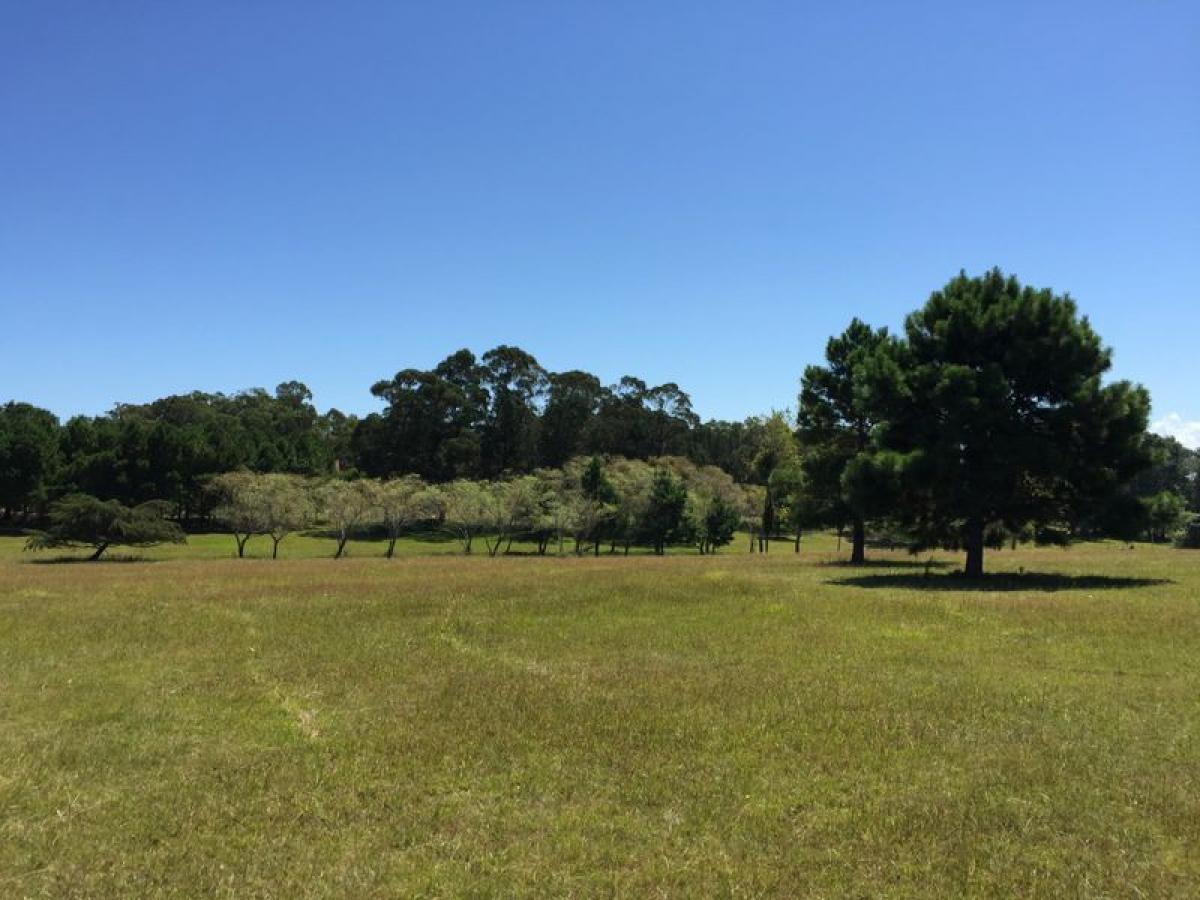  Farm in Maldonado, Uruguay No. 15120