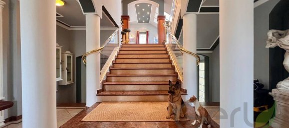 3 bedrooms House in Anif, Austria No. 186797 9