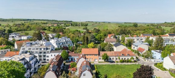 Bungalow de 4 habitaciónes en Gerasdorf bei Wien, Austria No. 194558 38