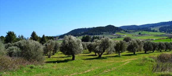 Hotel em Chalkidiki, Greece 10800 m² N.º 7308 3