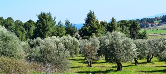Hotel em Chalkidiki, Greece 10800 m² N.º 7308 2