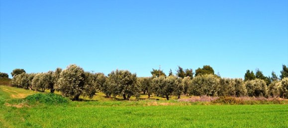  فندق في Chalkidiki, Greece 10800متر مربع رقم 7308 5