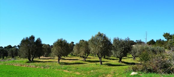  فندق في Chalkidiki, Greece 10800متر مربع رقم 7308 6