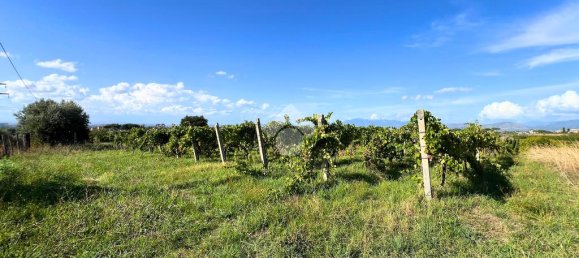 4600m² Land in Frascati, Italy No. 346207 5