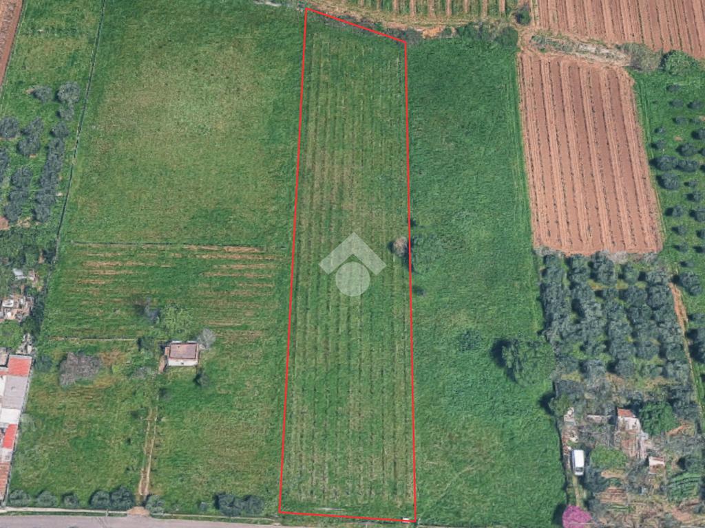 4600m² Land in Frascati, Italy No. 346207