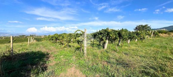 4600m² Land in Frascati, Italy No. 346207 3
