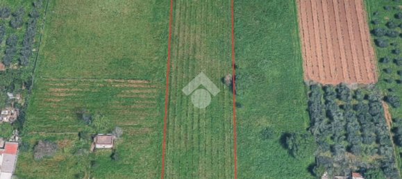 4600m² Land in Frascati, Italy No. 346207 7