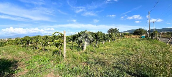 4600m² Land in Frascati, Italy No. 346207 4