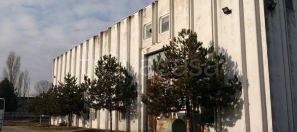 Lagerhaus in Vercelli, Italy 7000m², Nr. 207052 30