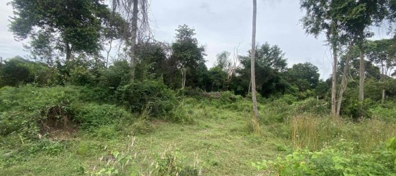  Commercial property in Ko Samui, Thailand No. 25442 2