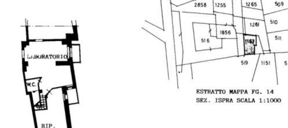 3-salle Appartement à Ispra, Italy No. 9747 11