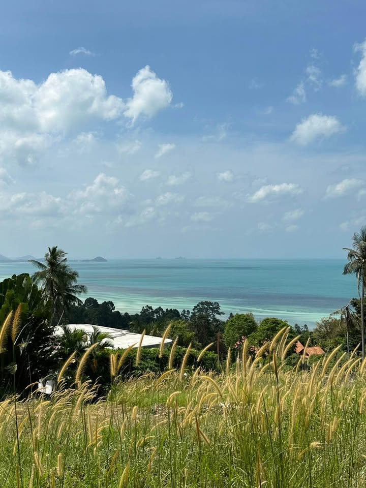  Land in Ko Samui, Thailand No. 26475