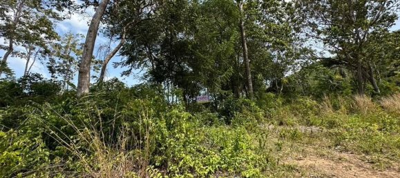  Land in Ko Samui, Thailand No. 26475 3