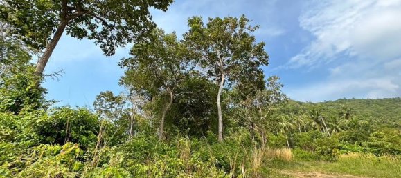  Land in Ko Samui, Thailand No. 26475 4