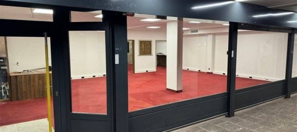 Propriété commerciale à Freiburg im Breisgau, Germany 180m² No. 29387 2
