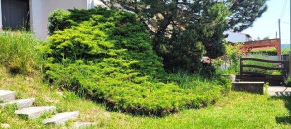 4غرفة منزل في Muckendorf-Wipfing, Austria رقم 248942 4