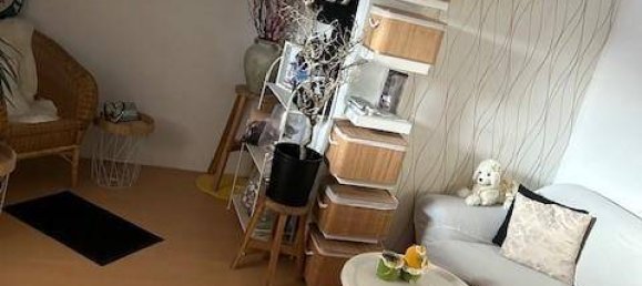 4 rooms Apartment in Weisskirchen an der Traun, Austria No. 196127 11