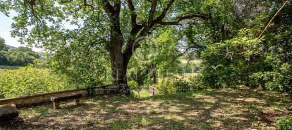 Terreno T4 em Calvi dell'Umbria, Italy N.º 138210 8
